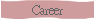 Career